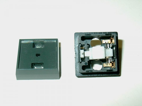 RF641 - Schalter Einrastend für Wersi W-Serie Ersatzteil 640031